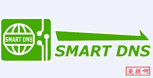 SmartDNS，高性能本地DNS服务器，极大优化网络访问速度