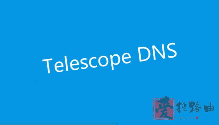 DNS分流/转发器:TS-DNS配置及使用方法