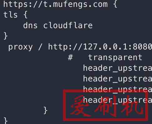 caddy2使用cloudflare https证书自动更新命令